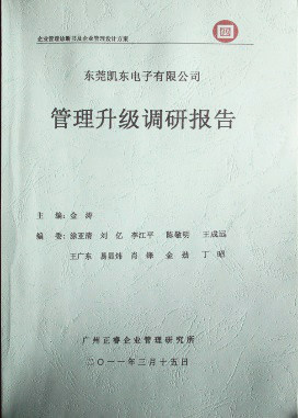 2011年3月15日，正睿咨詢專家向凱東決策層陳述調(diào)研報告