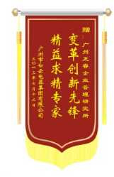 白云電氣集團(tuán)贈(zèng)送正睿咨詢變革創(chuàng)新先鋒，精益求精專家錦旗