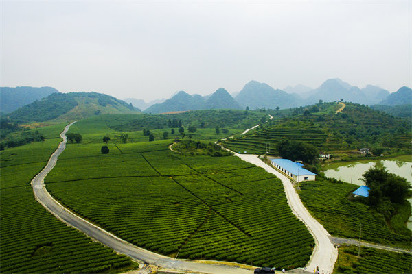 清遠(yuǎn)管理咨詢機(jī)構(gòu)的定制化服務(wù)方面包含哪些內(nèi)容？