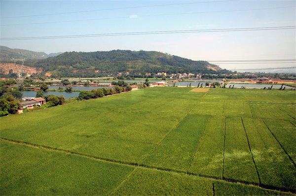 清遠(yuǎn)績(jī)效咨詢(xún)公司如何定制高效績(jī)效管理體系？