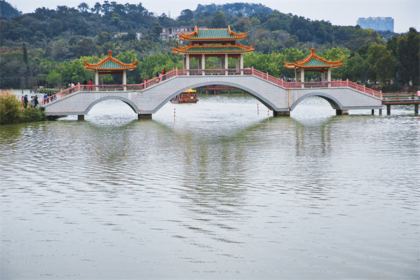 肇慶戰(zhàn)略咨詢(xún)公司如何為企業(yè)定制長(zhǎng)遠(yuǎn)發(fā)展規(guī)劃？