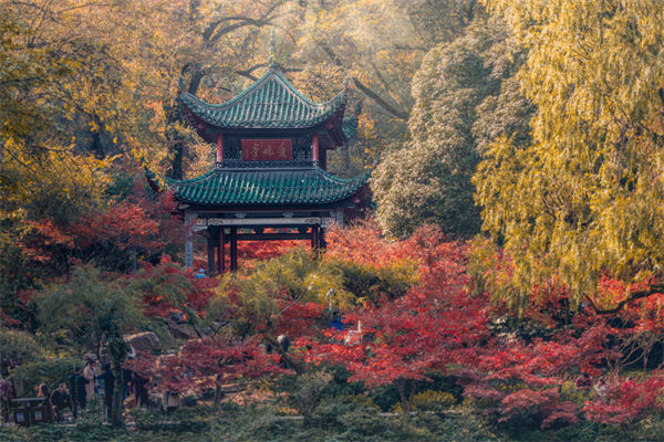 長(zhǎng)沙薪酬咨詢公司如何設(shè)計(jì)合理的薪酬結(jié)構(gòu)與體系？