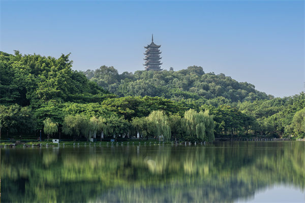 如何評估佛山集團管控咨詢公司的服務(wù)質(zhì)量和效果？
