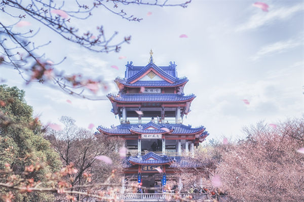 供應(yīng)鏈成本居高不下，無錫供應(yīng)鏈咨詢公司如何精準(zhǔn)砍出利潤空間？