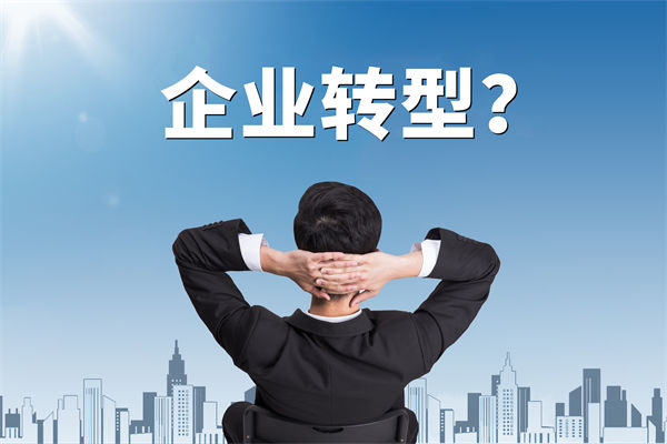 企業(yè)轉(zhuǎn)型無(wú)方向，數(shù)智化咨詢(xún)公司能否指引明路？