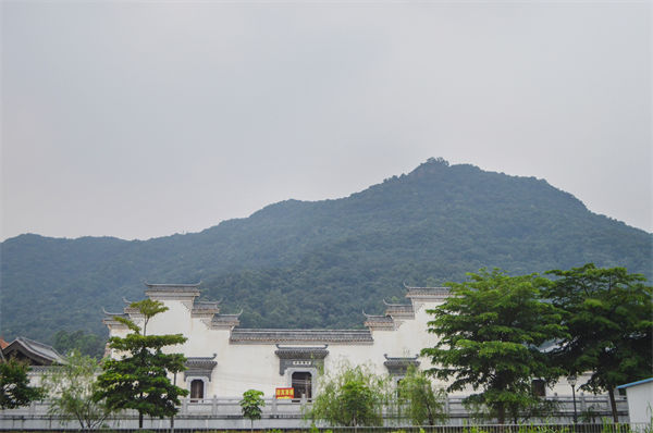 子公司各自為戰(zhàn)內(nèi)耗大，佛山集團管控咨詢公司有何整合之道？