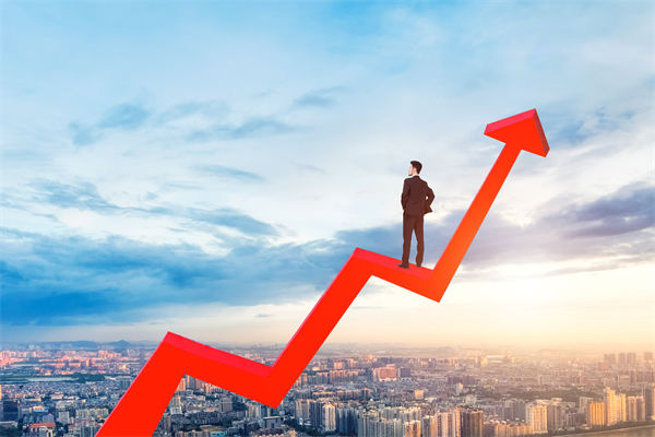 績效管理咨詢公司，能幫企業(yè)建立以結(jié)果為導向的體系嗎？