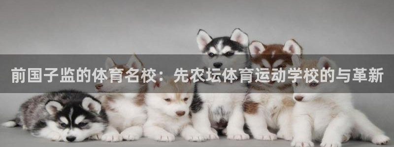 哈希娱乐体育官网入口登录