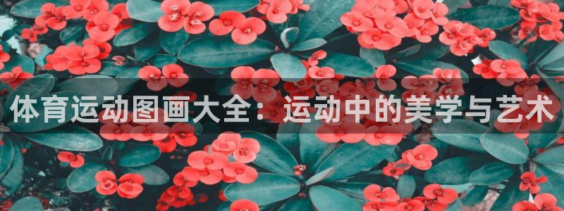 哈希娱乐平台注册