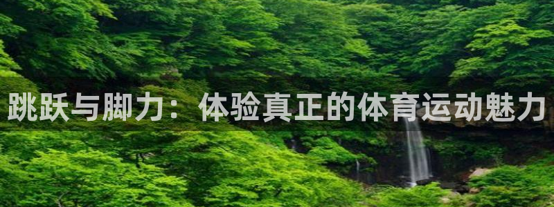 哈希娱乐体育用品