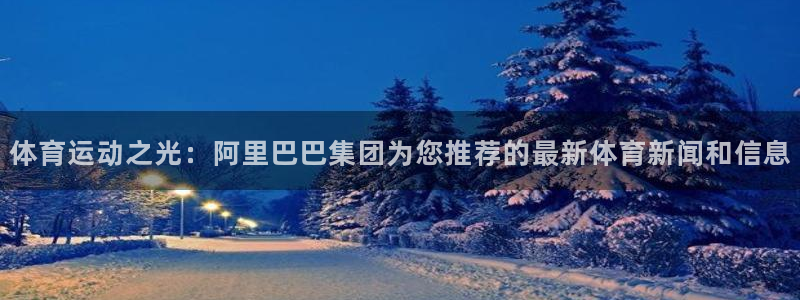哈希娱乐体育和杏耀是哪个公司的