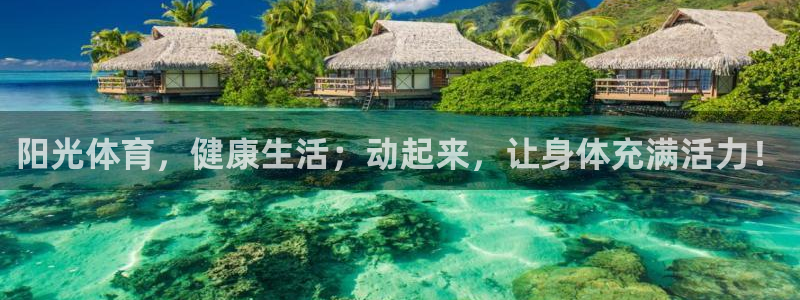 哈希娱乐体育